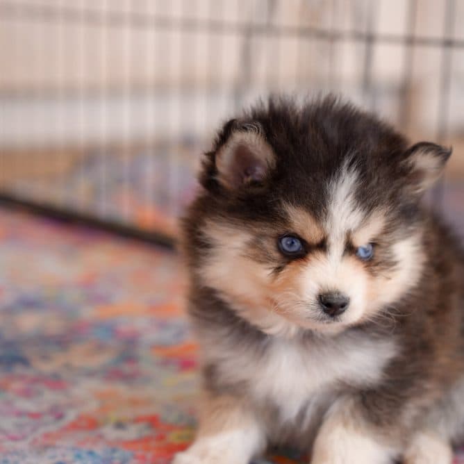 One minute she was searching... and the next she was reserved.